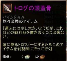 頭蓋骨
